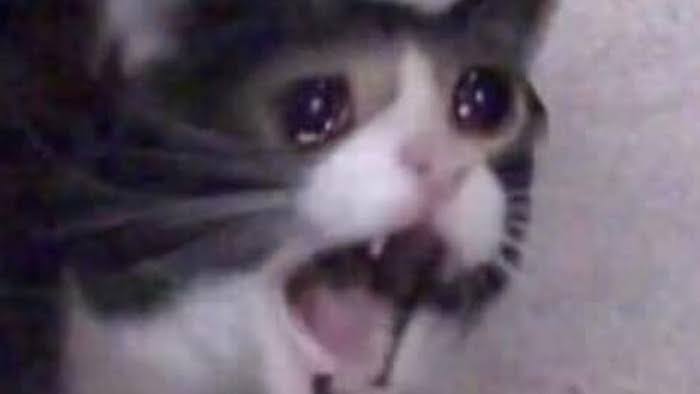"They're seventeen and in love. They're seventeen and the happiest they've ever been. They're seventeen and the happiest they'll ever be.

He's twenty-four now."