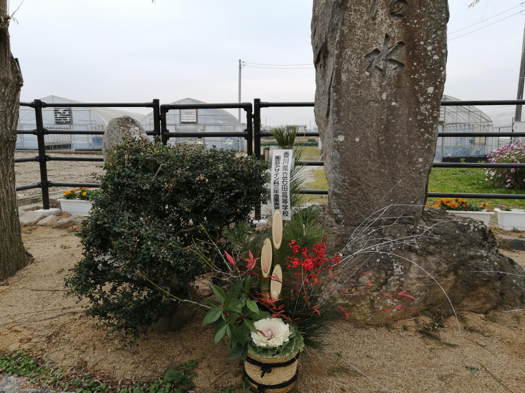 香川県立石田高等学校 園芸デザイン科3年の造園実習生が真清水に門松を装飾しています 今年もたくさんのご支援とご理解いただき有難うございました 来年もどうぞよろしくお願い致します 良いお年を 香川県立石田高等学校 農業科 園芸デザイン科 門松