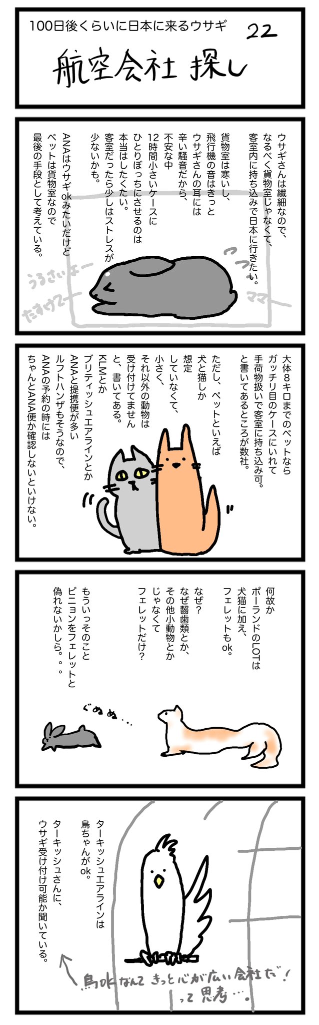 ピニョン ベルギー 日本 にきたウサギ 100日後くらいに日本に来るウサギ 22 航空会社探し うさぎ好きさんと繋がりたい 配偶者ビザ 在外邦人 うさぎのいる暮らし ベルギー在住 ブラックオター Ana ターキッシュエアライン うさぎ ピニョン ベルギー 日本 にきたウサギ 100日後くらいに日本に来るウサギ 22 航空会社探し うさぎ好きさんと繋がりたい 配偶者ビザ 在外邦人 うさぎのいる暮らし ベルギー在住 ブラックオター Ana ターキッシュエアライン うさぎ