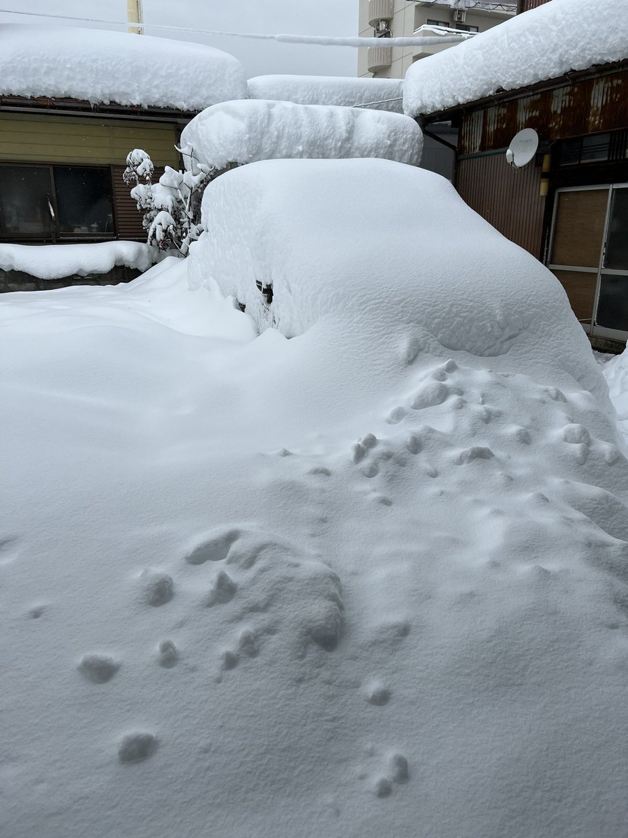 YMP_H's tweet photo. いやー本当よく降ったね https://t.co/KJtguMIux4