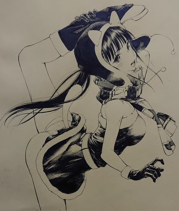 サンタコスのやつです。 