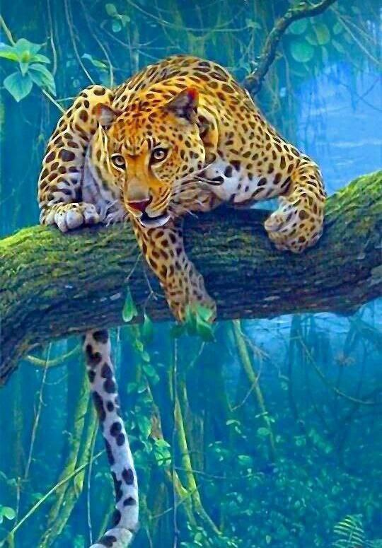 rasa_safa's tweet photo. @luciano_eltirri #leopard🐆💎
🔥
#leopardbsc🐆💎
🚀
#leopardarmy 🐆💎
🐆💎
💪🏼
#leopard⏳🚀
✨
#LEOPARDTOKEN_HOLD 🔥
😍🐆❤️🌛🚀🤑💎✨

@ParisHilton  @coin98Analytics
@BigONExchange
@gate_io @ComBkex @CoinTigerEX @DEXToolsApp https://t.co/ke5iDcoBPw