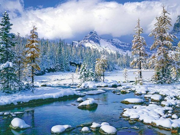 пазлы на зимнюю тему. пазл trefl парк с аттракционами (33033), 3000 дет. цена пазал gan 13 пазал. пазлы зима. зимний коттедж пазлы.