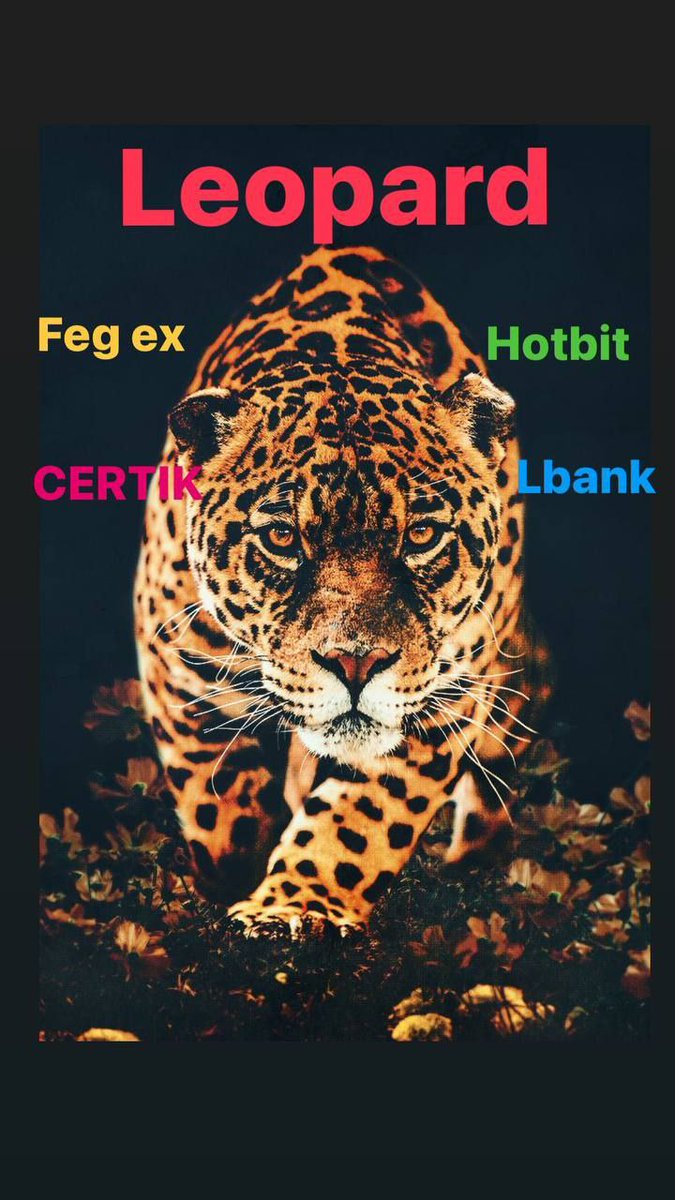 rasa_safa's tweet photo. @luciano_eltirri #leopard🐆💎
🔥
#leopardbsc🐆💎
🚀
#leopardarmy 🐆💎
🐆💎
💪🏼
#leopard⏳🚀
✨
#LEOPARDTOKEN_HOLD 🔥
😍🐆❤️🌛🚀🤑💎✨

@ParisHilton  @coin98Analytics
@BigONExchange
@gate_io @ComBkex @CoinTigerEX @DEXToolsApp https://t.co/qs8zsLu0is