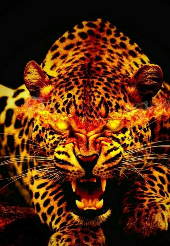 rasa_safa's tweet photo. @luciano_eltirri #leopard🐆💎
🔥
#leopardbsc🐆💎
🚀
#leopardarmy 🐆💎
🐆💎
💪🏼
#leopard⏳🚀
✨
#LEOPARDTOKEN_HOLD 🔥
😍🐆❤️🌛🚀🤑💎✨

@ParisHilton  @coin98Analytics
@BigONExchange
@gate_io @ComBkex @CoinTigerEX @DEXToolsApp https://t.co/s0gOsqt9lL