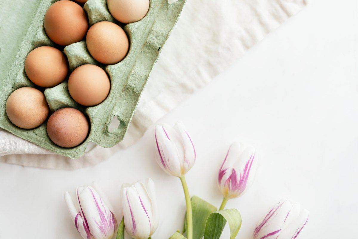 basix_health's tweet photo. Egg is our everyday delicious superfood. It is nutritious, easy to make and very versatile. To read more click below👇
https://t.co/gsiKBW0vpN
#healthbasix #inschoolclinic #eggs #breakfast #foodforchildren #childrenhealth https://t.co/Tyonhmzz7a