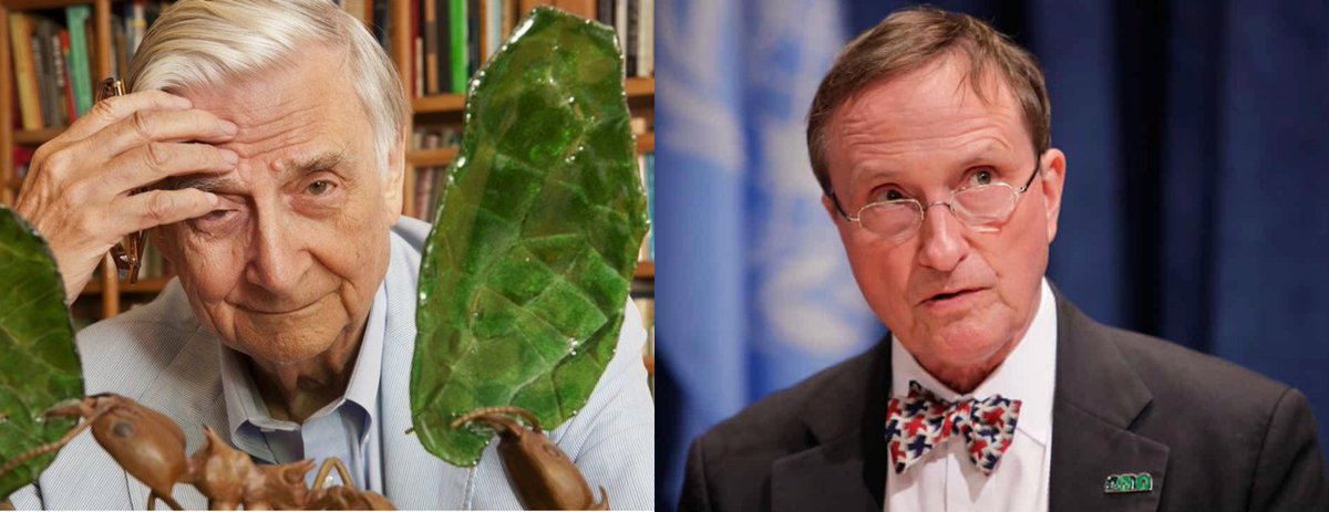 jrockstrom's tweet image. An abrupt shock to our social-ecological world. Humanity has lost two of its grand champions for our future on Earth; the Father of Half-Earth E.O. Wilson, and our modern thinker on how biological diversity builds human stability, Tom Lovejoy. Boy, do we owe them a lot...