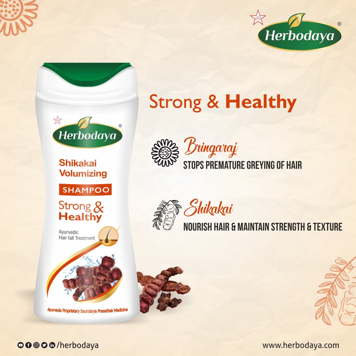 herbodaya's tweet photo. Slow Down Hair Loss 🧒👩‍🦲👩
Have you been struggling with hair Loss? then try it out our Shikakai Volumizing Shampoo.

Buy Now: https://t.co/2uuPDQXKvF

#AyurvedicHairOil #Natural #advancedayurveda #Skincare #Ayurveda #haircare #hairlosssolution #herbodaya #shampoo #SKM #Shikakai https://t.co/XPwOSDdk8d