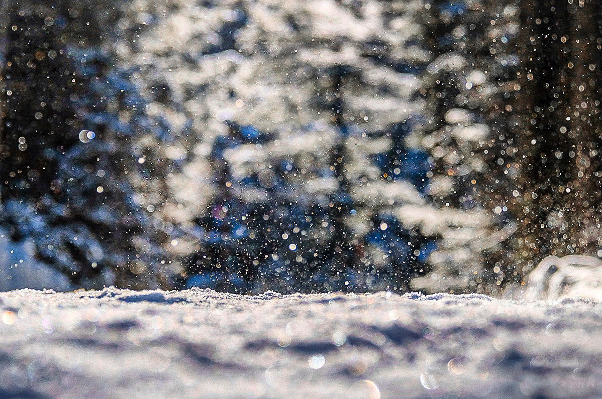 Petra_C_M_P's tweet image. Glitzer.
Der schönste.
Guten Morgen!

#SnowContent