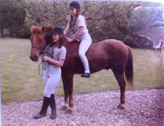 Centaur Rug Driers tweet media