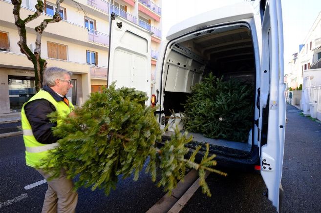 VichyCommunaute's tweet photo. [#RamassageSapins] 🌲 Comme chaque année, l'agglomération met en place un ramassage spécial, en porte-à-porte, pour les sapins de Noël : 
➡ Vichy : 10 et 11 janvier (selon secteur) 
➡ Cusset : 12 janvier 
➡ Bellerive-sur-Allier : 13 janvier 
Infos sur : https://t.co/WCCLM5tT2q https://t.co/am5dyab6GL