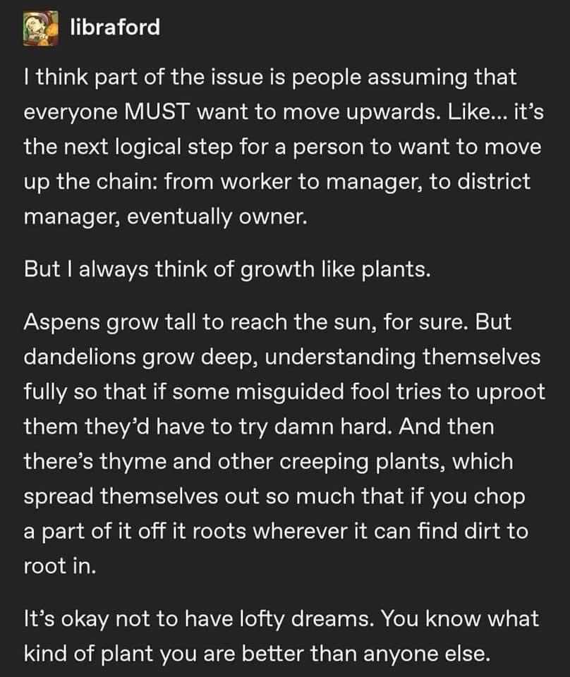 kapsyon's tweet photo. aka i’m cleaning my camera roll and i see things that are nice to share/get reminded of :) https://t.co/Yo4vvZGPZ2