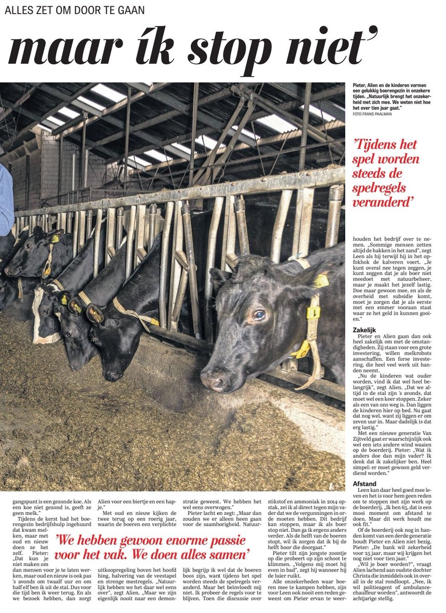 Vandaag in de <a href="/telegraaf/">De Telegraaf</a> 👇🏼