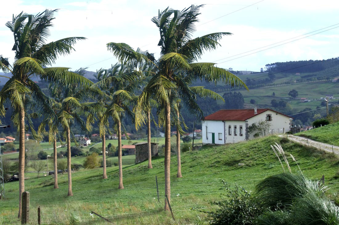Esta semana las cestas Belorta llevarán Eco-cocos de km0. En concreto, de la nueva plantación de Parbayón (Cantabria).
#Productolocal #Sostenibilidad #Cocosdelnorte
