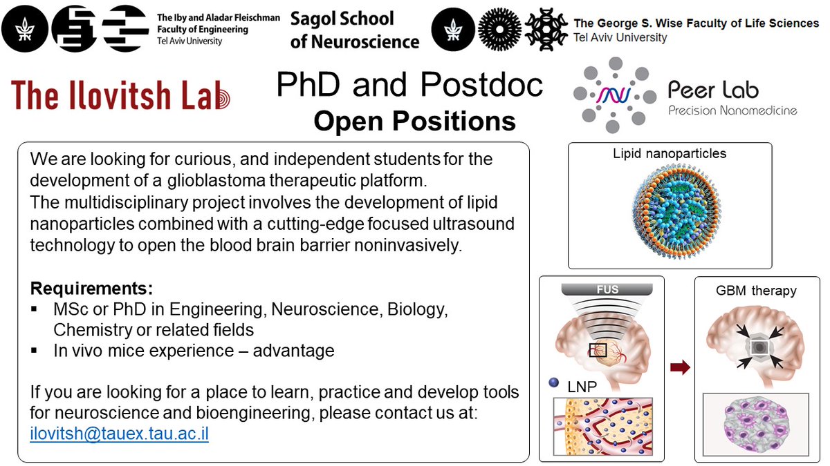 Tali Ilovitsh (@ilovitshlab) on Twitter photo PhD and Postdoc positions in our lab
<a href="/Tel_Aviv_Uni/">אוניברסיטת תל אביב Tel Aviv University</a>
Ultrasound-mediated BBB opening and particle delivery for brain cancer therapy PhD and Postdoc positions in our lab
<a href="/Tel_Aviv_Uni/">אוניברסיטת תל אביב Tel Aviv University</a>
Ultrasound-mediated BBB opening and particle delivery for brain cancer therapy
