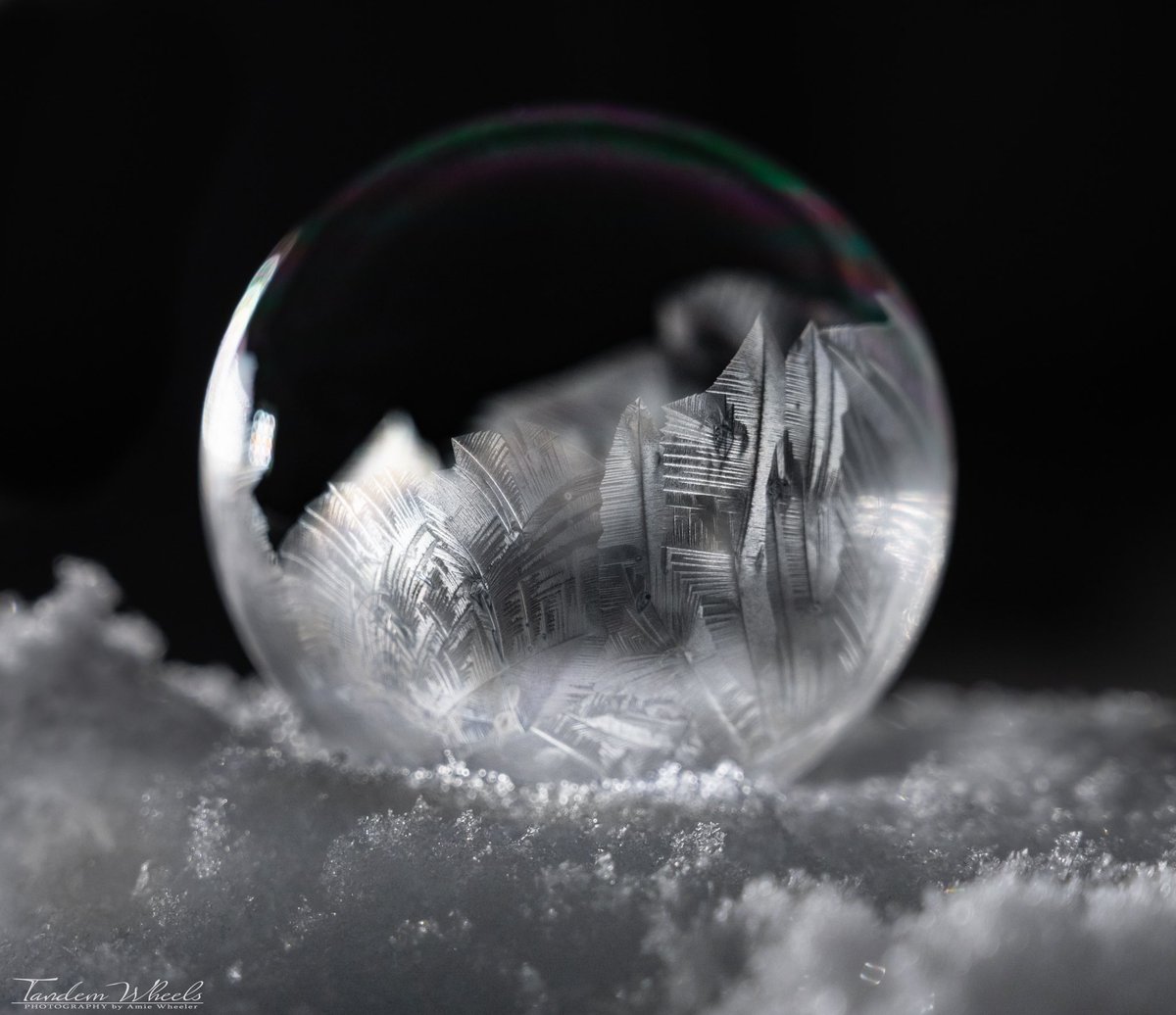 MimiRitZ244's tweet photo. Crystalline Snow Globe, only 14° out tonight, can’t wait to see how they form once it’s colder ❄️ #pnw #sonorthwest #wawx https://t.co/1lh2jSau7y