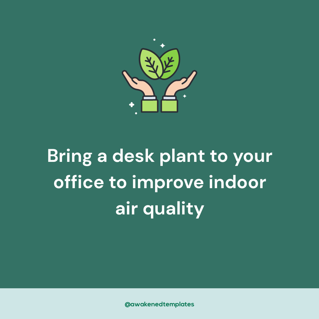 Plants produce more oxygen, offsetting any chemicals released into the air, and making a cleaner, happier space for people to work in.

#improveairquality #plantsmakepeoplehappy #greenoffice #ecofriendlyworkplace #gogreen