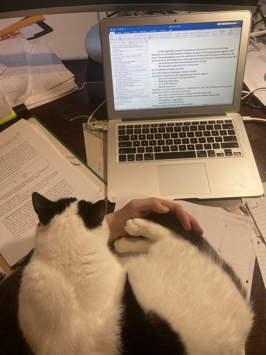 kaspervn's tweet photo. omdat vorige post in de smaak viel, dit is billy haar bezoek van gisteren   #EindeLockdownNu #student #NewYear2022 #CatMom https://t.co/pa2gwOpkeW