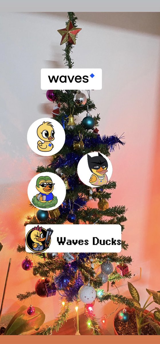 x_mertxl's tweet photo. Waves Türkiye Yılbaşı 🎄 $WAVES #wavesducks #wavesNewYear https://t.co/GXCD7vQJTb