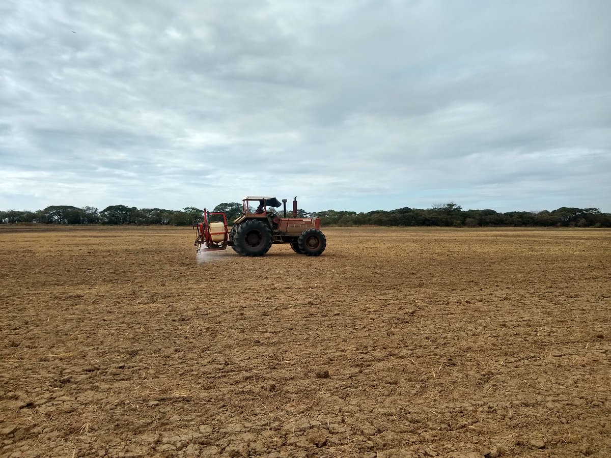 jesusadrianve's tweet photo. #agricultura #agro #agri https://t.co/9Zda70jD8O