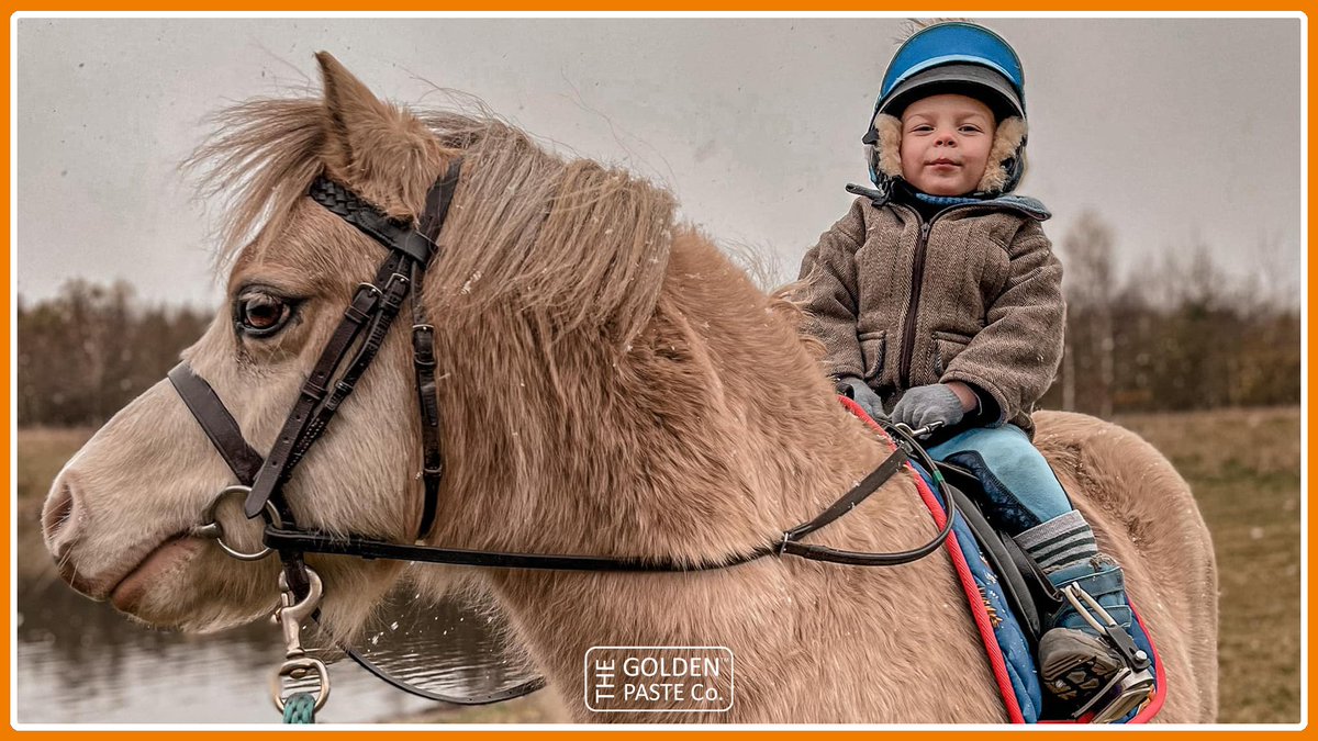 TeamTurmeric's tweet photo. The Little Horseman @the_little_horseman, one of our Brand Ambassadors, shares what he got for Christmas and plans for 2022!
“Arnie has received some new riding clothing from Santa this year and a grooming mini hamper from his local feed store...”.
#teamturmeric #goldenpaste https://t.co/Az8WWavu2F