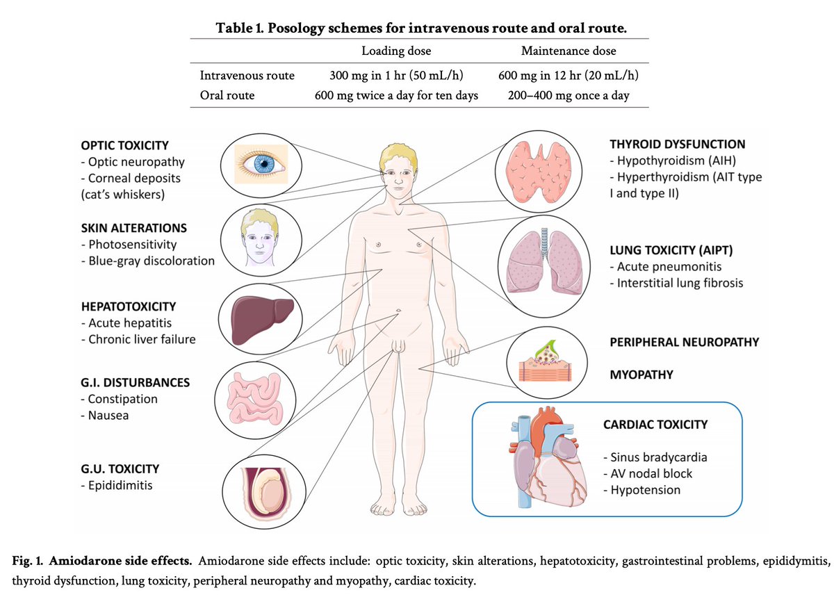 SeguraCardio's tweet photo. 📌#Amiodarone in ventricular arrhythmias: still a valuable resource?
#CardioEd #CardioTwitter #ePeeps #MedEd https://t.co/shbJlj7V5g