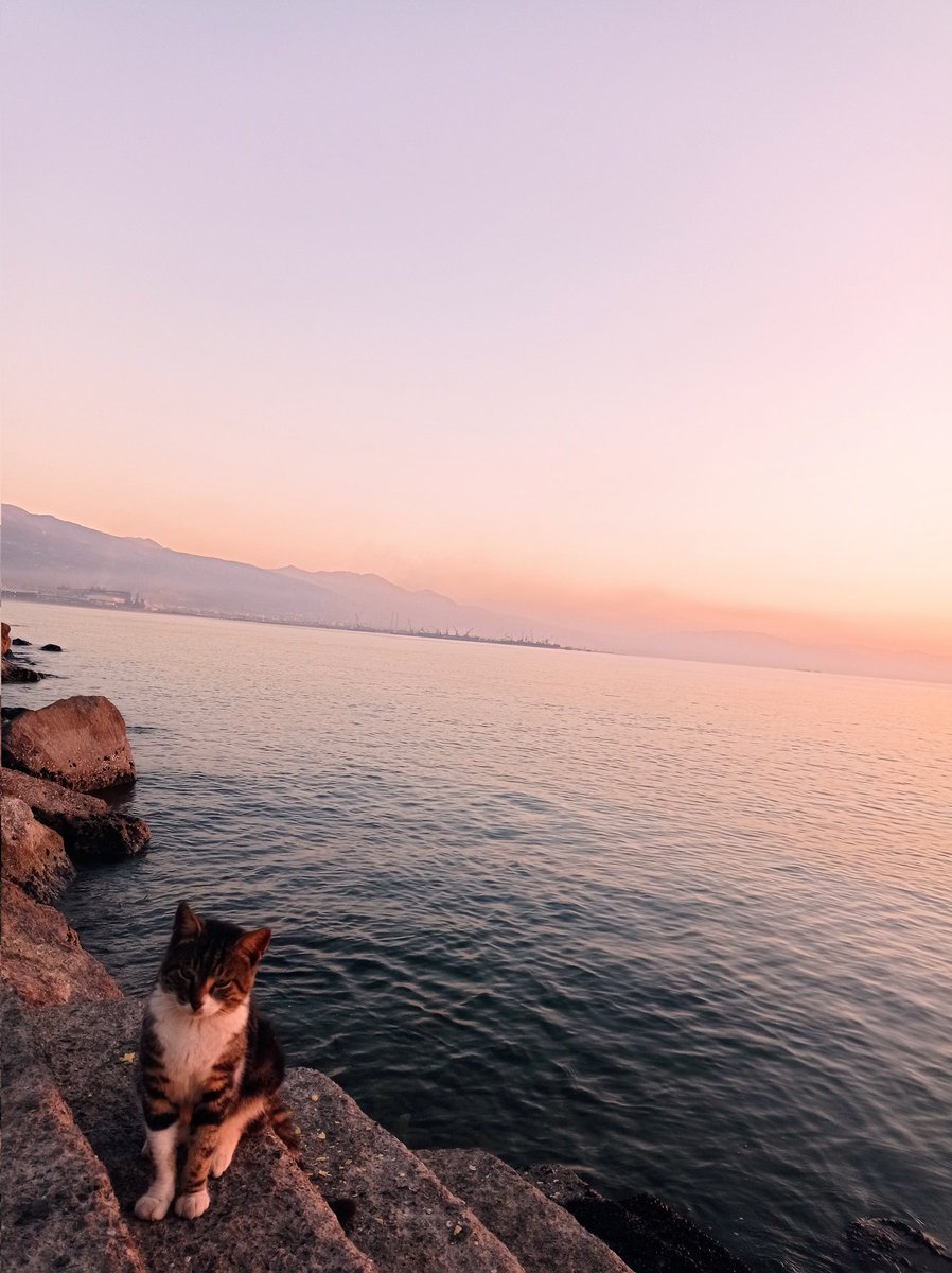 Anı yakaladığım fotoğraflardan...