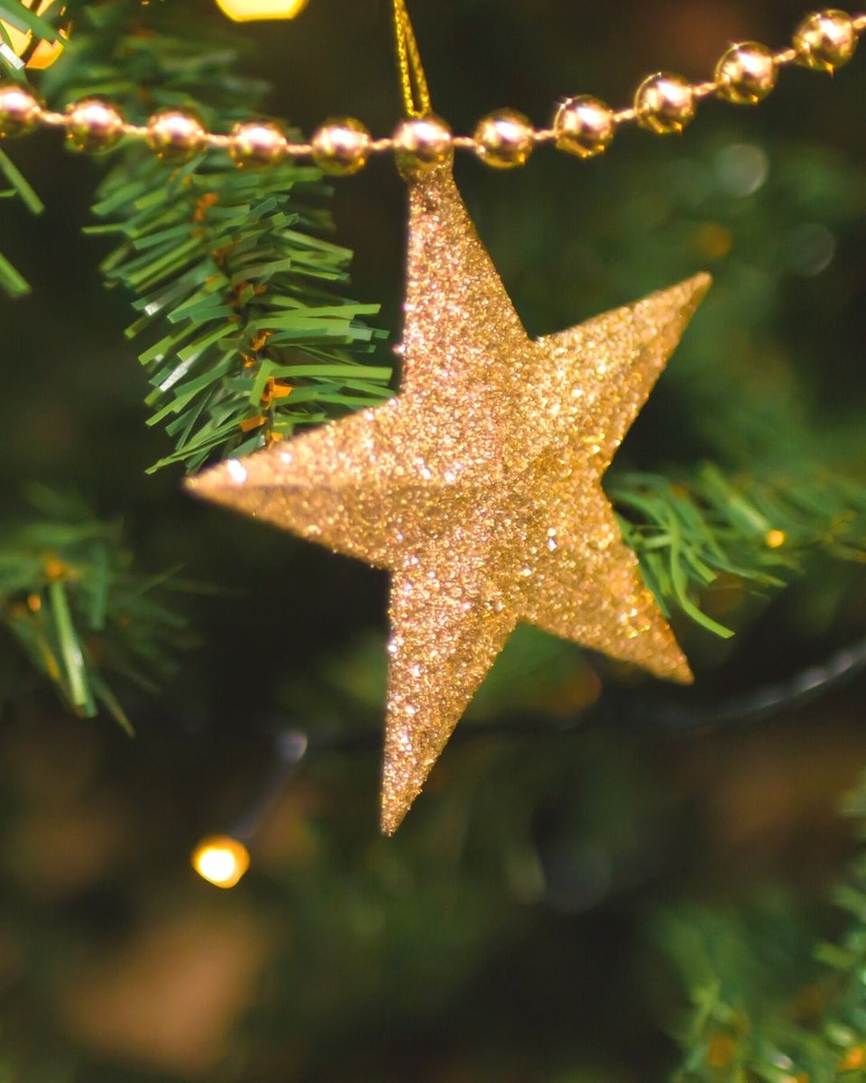 👑 ¡Se acerca la noche más mágica del año! 👑

La llegada de los Reyes Magos de Oriente 💫  Es importante tener todo preparado para recibirles.

#nochedereyes #reyesmagos #decoracionNavidad #decoracionfloralNavidad #Navidad2021 #margaritasellamamiamor #floristeriamadrid