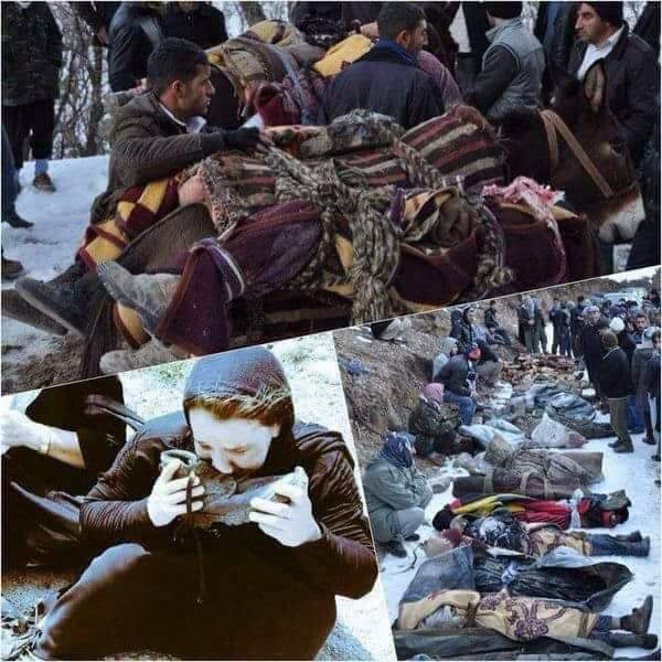 iremafsin's tweet image. Bu ülkede bir daha hiçbir zaman Roboskî&apos;den önceki gibi bir hayatımız olmayacak.

Roboskî&apos;ye ne adalet, ne de yeni yıl 10 yıldan beri gelmedi.

#RoboskîyiUnutmaUnutturma #Roboskî10SalDerbasBu
#RoboskîKatliami