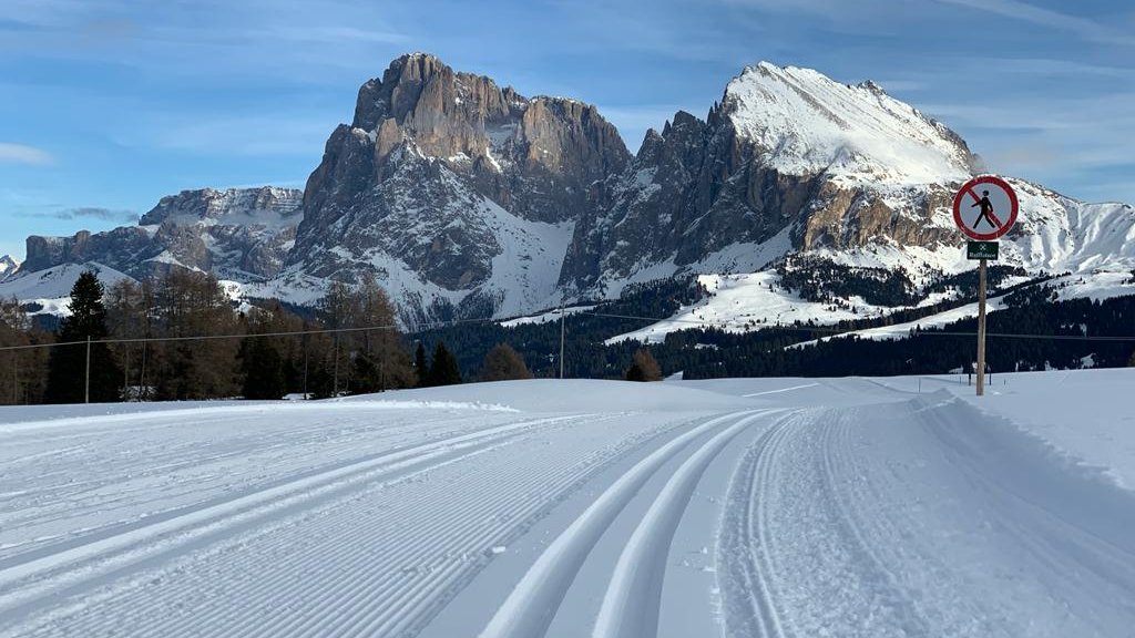 seiseralm's tweet image. Auf der Seiser Alm warten 80 Kilometer doppelt oder vierfach perfekt gespurte #Langlaufloipen auf euch🤩 ob #Skating oder klassischer Langlaufstil, #Anfänger oder #Profis: Die Seiser Alm in Südtirol bietet für jeden Geschmack die passenden Loipen ❄️
#seiseralm #alpedisiusi