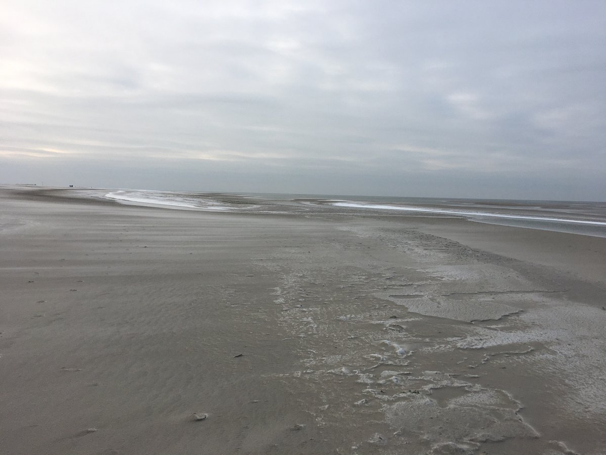 knipskasje's tweet photo. As kull worden.
(Ist kalt geworden.)
#Amrum #Nordsee #Winter https://t.co/2eKhUdGzeG
