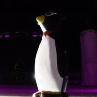 IceQuestMalvern tweet media