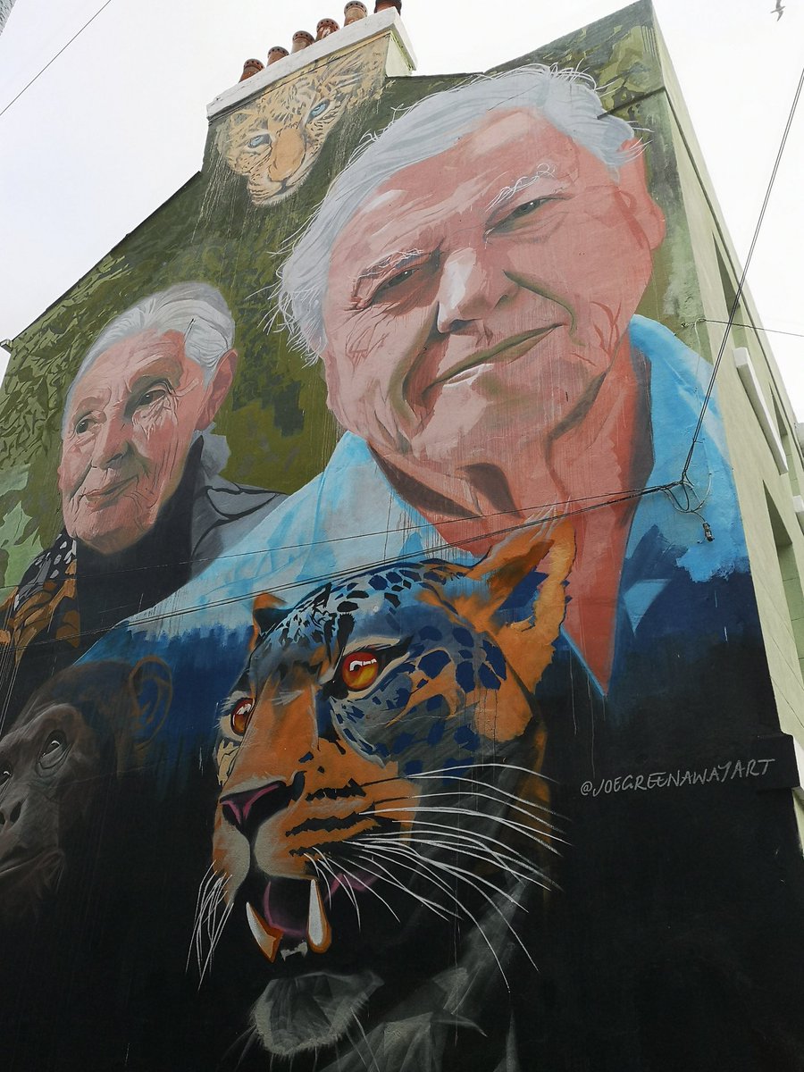 WenF2226's tweet photo. Another fantastic mural by Joe Greenaway in Plymouth @Upfest https://t.co/FCHvH0N49T