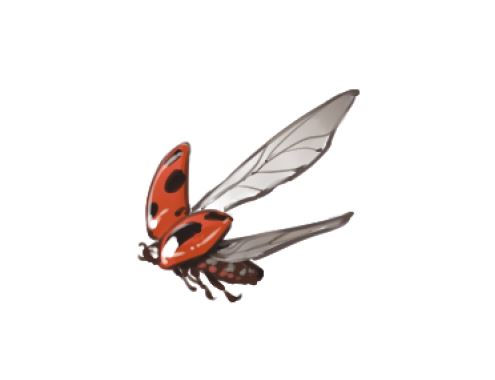 ポケモン カバー 背表紙のタイトルと名前との間にテントウムシを描いてて よし このタイミ ツカサ ハズミツカサ のイラスト