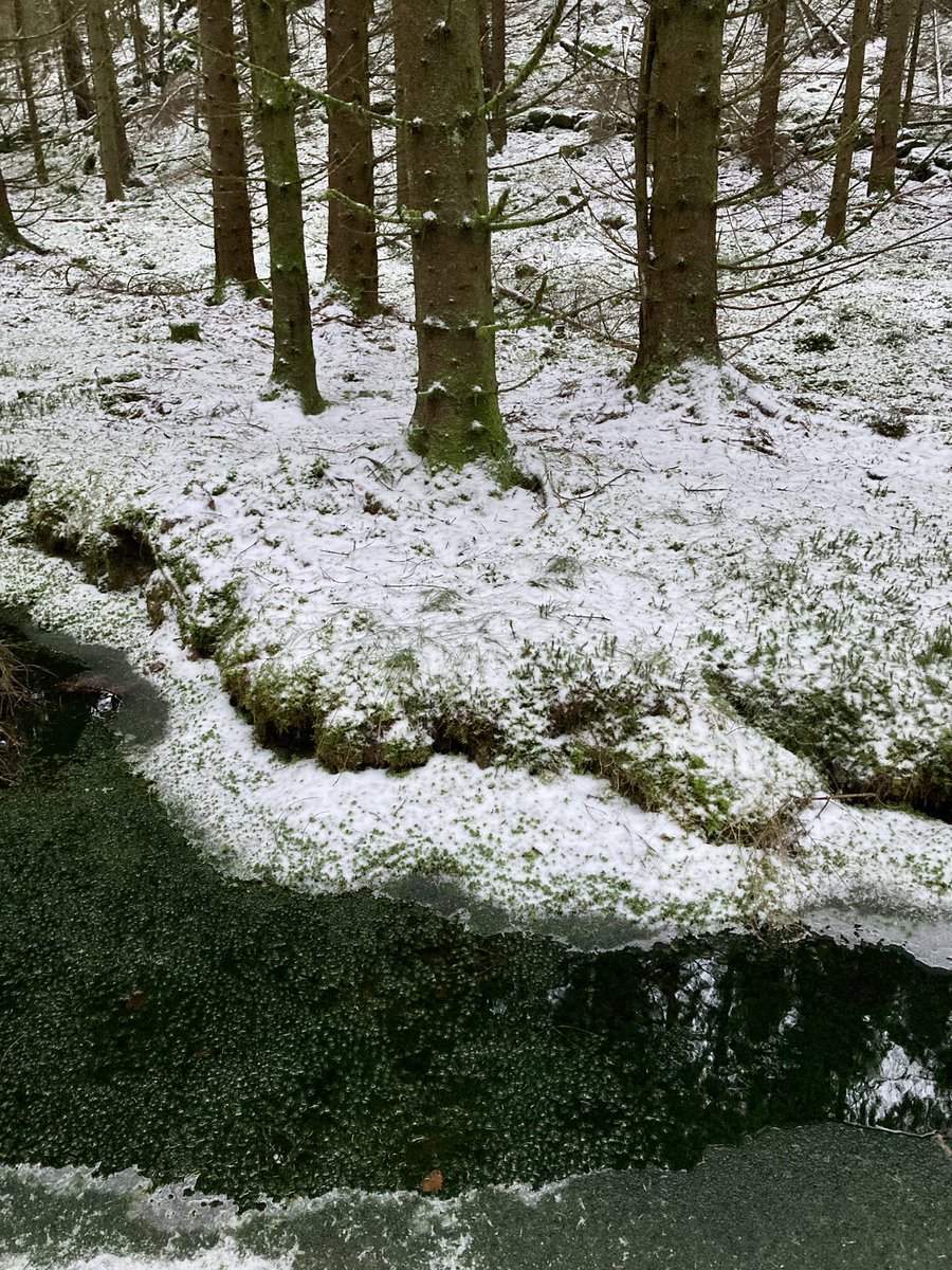 DavidSandum's tweet photo. Photos from my 9k hike today. https://t.co/cM6rOkjJQm