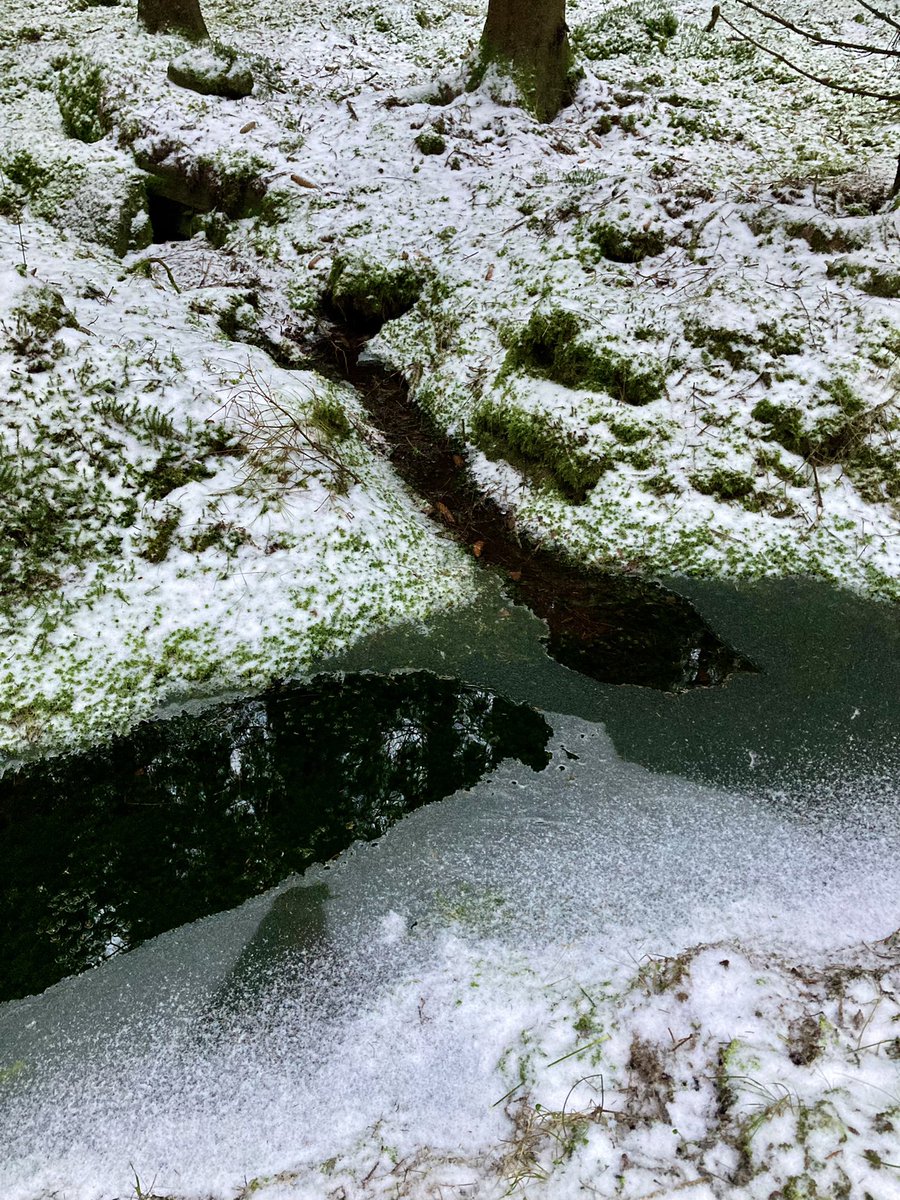 DavidSandum's tweet photo. Photos from my 9k hike today. https://t.co/cM6rOkjJQm