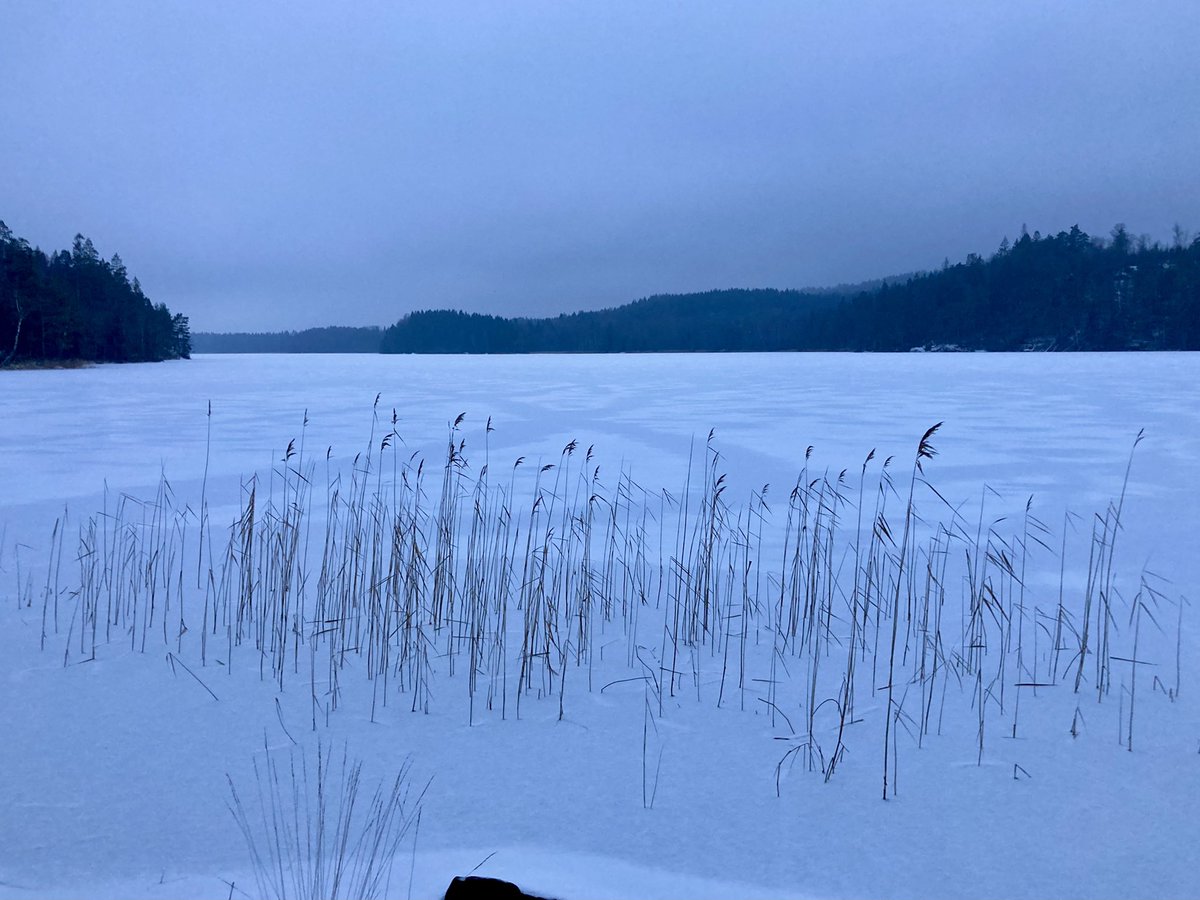 DavidSandum's tweet photo. Photos from my 9k hike today. https://t.co/cM6rOkjJQm