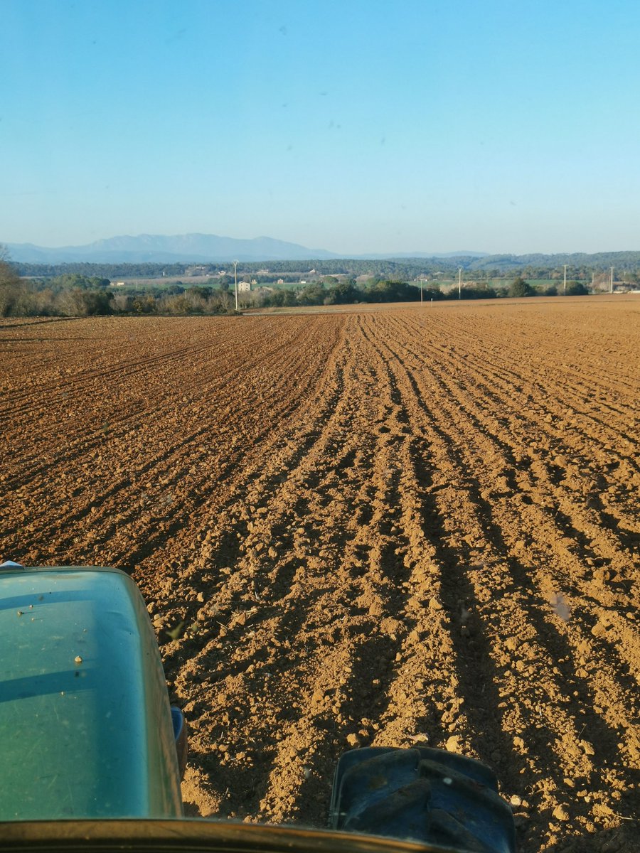 arnauanglada's tweet image. Finalment he decidit fer el pas que el mercat requeria. Aquesta és la primera sembra de soja que em permetrà deixar la ramaderia i salvar el planeta simultàniament. He tancat un acord amb una empresa israeliana que em comprarà la collita sempre al doble de preu del veí. 💪🏻⬇️