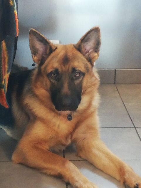 Sun  j ai 9 mois aujourd'hui