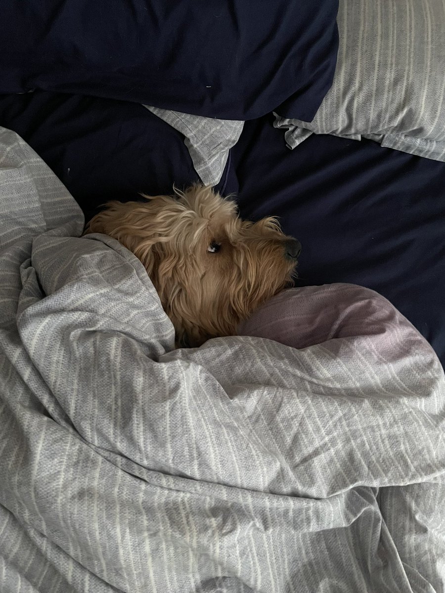 Still sleepy leave me alone