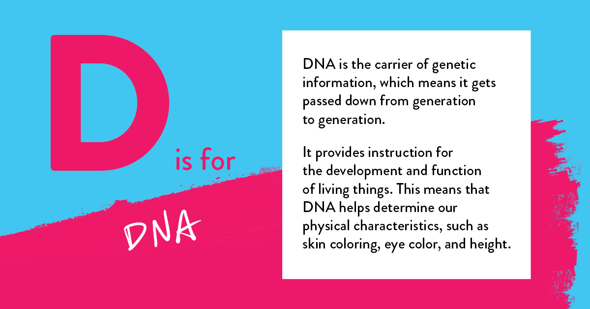 genetix_biotx's tweet photo. #ABCsOfGenetics — DNA (deoxyribonucleic acid) makes us who we are, but what does it really mean?
DNA is the substance (or molecule) that carries genetic information in a human cell.
To learn more about gene therapy, fly to https://t.co/7KazIBoJe9. https://t.co/FKNyJdTBRf