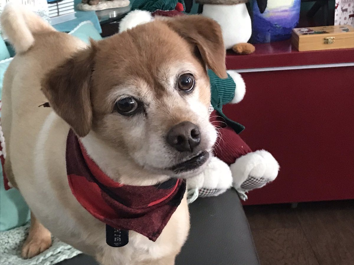 Tina White tweet media