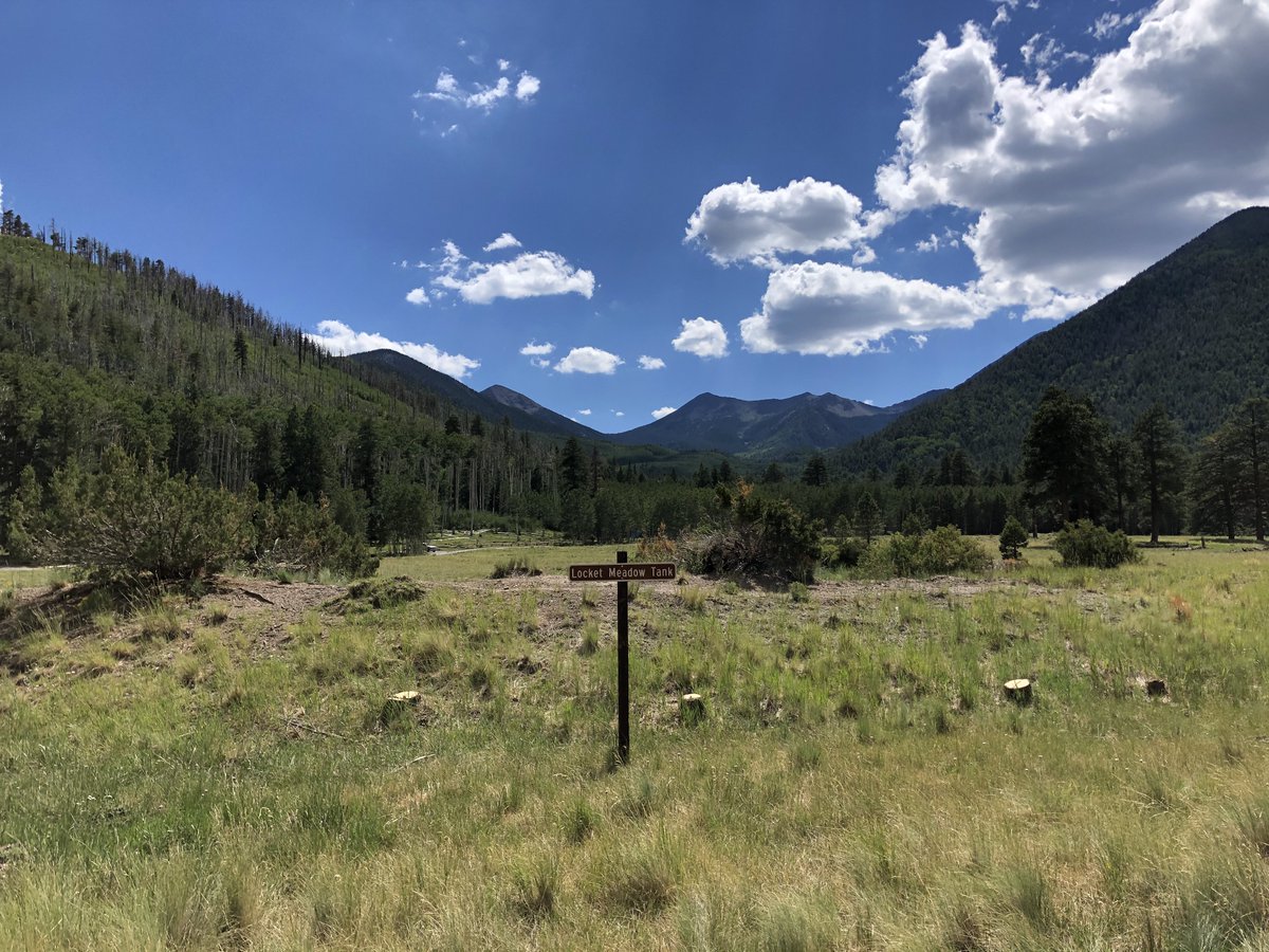TimesWilderness's tweet photo. Where’s the most beautiful place you’ve gone camping?

Here's mine...Lockett Meadow #Flagstaff #Camping #Arizona https://t.co/11Xa4sUHGC