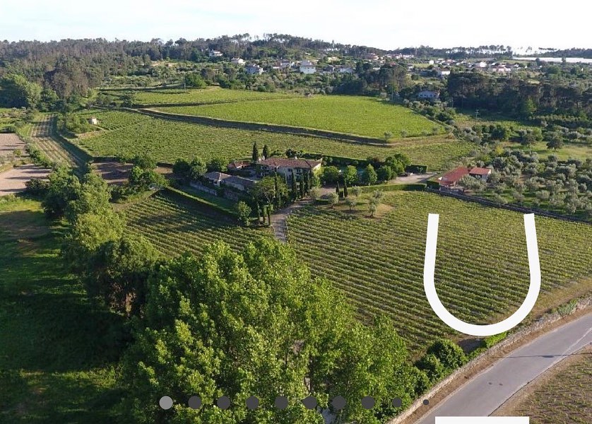 wine_alle's tweet photo. In 2013, two teachers gave wings to the dream of transforming the family farm into a reference producer, with exceptional quality wines.
@soitowines is today one of the youngest and most promising projects in Dão

#winetourism #winelover #winescape #partnership https://t.co/7skcg8R3mD