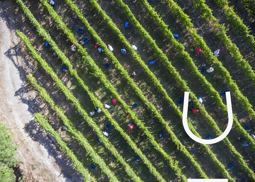 wine_alle's tweet photo. In 2013, two teachers gave wings to the dream of transforming the family farm into a reference producer, with exceptional quality wines.
@soitowines is today one of the youngest and most promising projects in Dão

#winetourism #winelover #winescape #partnership https://t.co/7skcg8R3mD