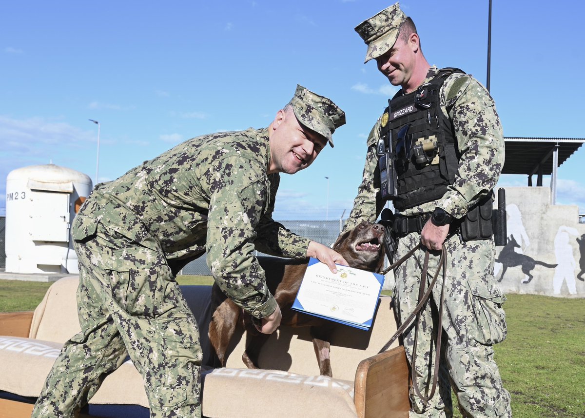 DVIDSHub's tweet photo. Military working dog Weezy retires &amp; receives the #Navy and #Marines Commendation Medal for 10+ years of service…  https://t.co/4wUJZ3hy4o https://t.co/YU3vHDyFIu