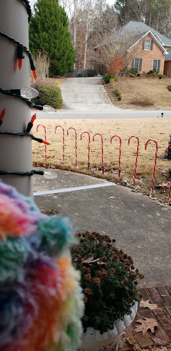 jonathanr37's tweet photo. Please, ask your friends and family if they recognize my rainbow ear in the lower left. I have loved watching the light shows, all the cars, and all the kids dancing and running through the yard, but I would love to go back home to my family! https://t.co/Ewfh8Bd8G4