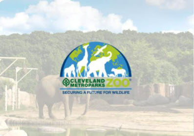infohio's tweet photo. 🎁 Find a stocking stuffed full of lesson plans from @clemetzoo at INFOhio's Open Space!
📲 Lesson plans about animals found in regional zoos with content perfect for elementary and middle school classrooms.
➡️ Learn more at https://t.co/55jR6BFfA8 https://t.co/5nSCLv7FnQ