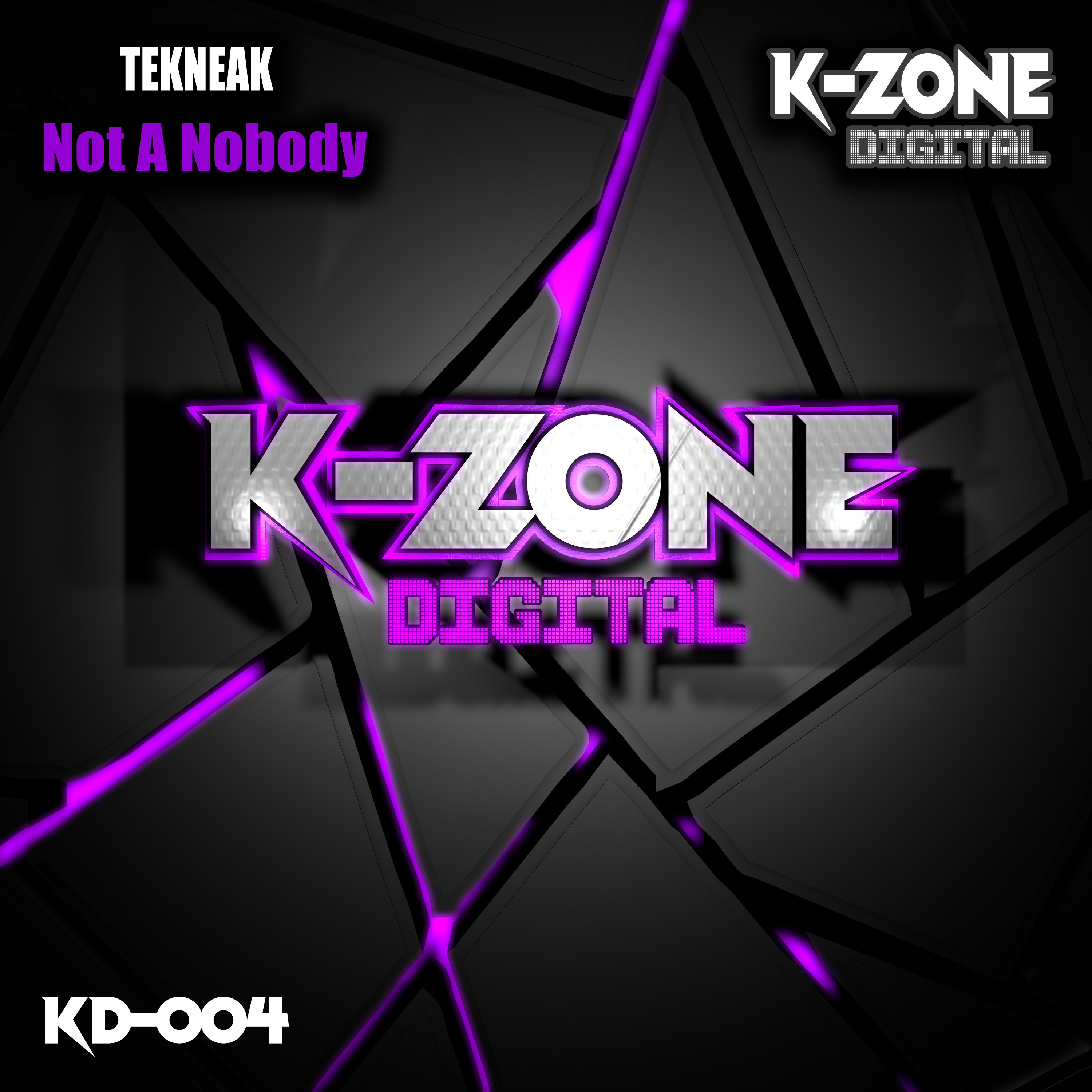 Toolbox Digital Shop We Re Loving The Latest K Zone Digital Release Not A Nobody From Tekneak Check It Out Here Along With The Labels Other Releases T Co Bswipb2vyy Hardhouse Harddance Toolboxdigital Newrelease