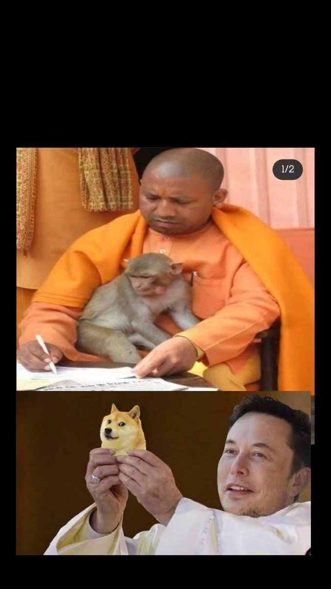BadTanishq's tweet photo. #MonkeyvsDog https://t.co/bFy9utZ2JE